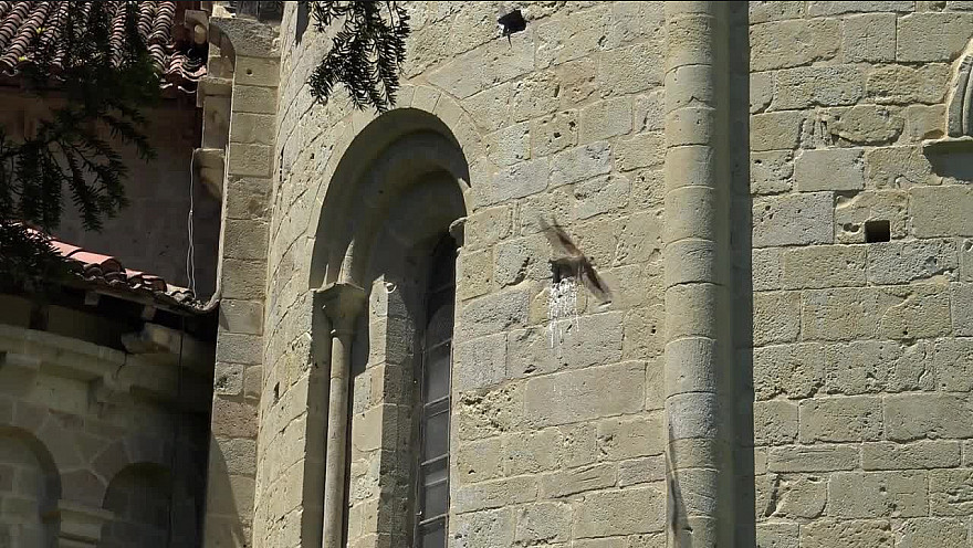 Journée Internationale des Guides #Abbaye #Flaran @GersTourisme @Occitanie #Tv_Locale @Smartrezo