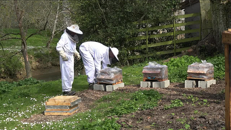 Abeilles en Résidence #Abbaye #Flaran @GersTourisme @Occitanie #Tv_Locale @Smartrezo