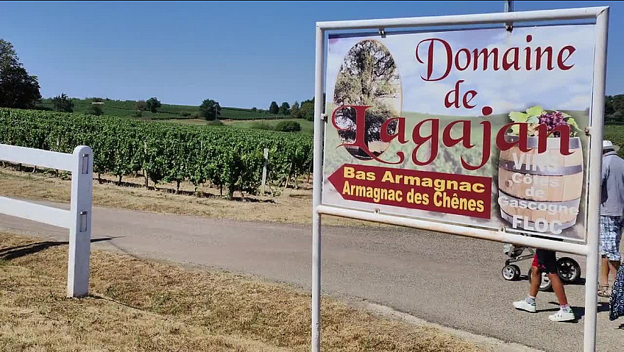 TV Locale Gers - Fête du Floc à Lagajan #Armagnac @GersTourisme@Occitanie #Tv_Locale @Smartrezo