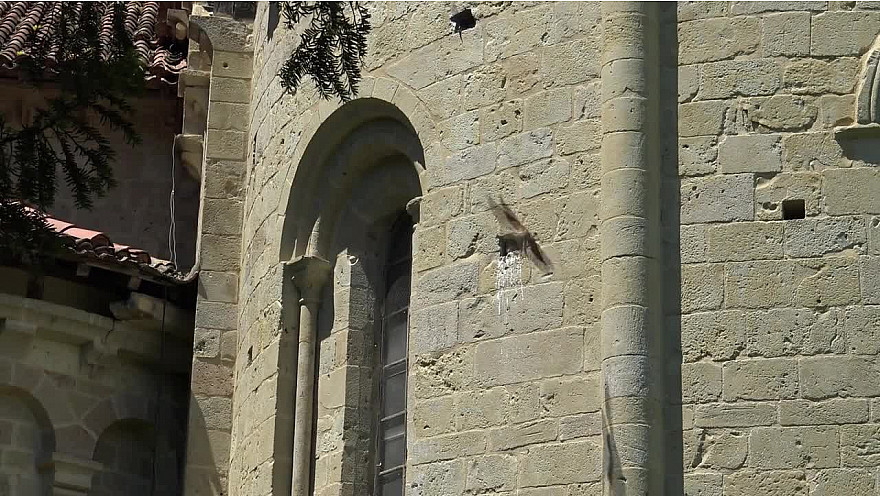 Journée Internationale des Guides #Abbaye #Flaran @GersTourisme @Occitanie #Tv_Locale @Smartrezo